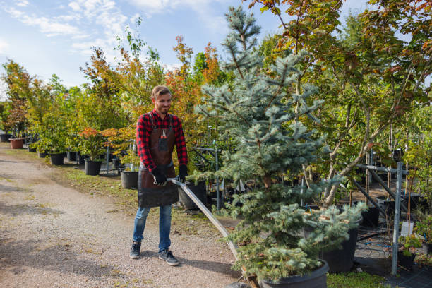 Best Weed Control  in Monroe, LA